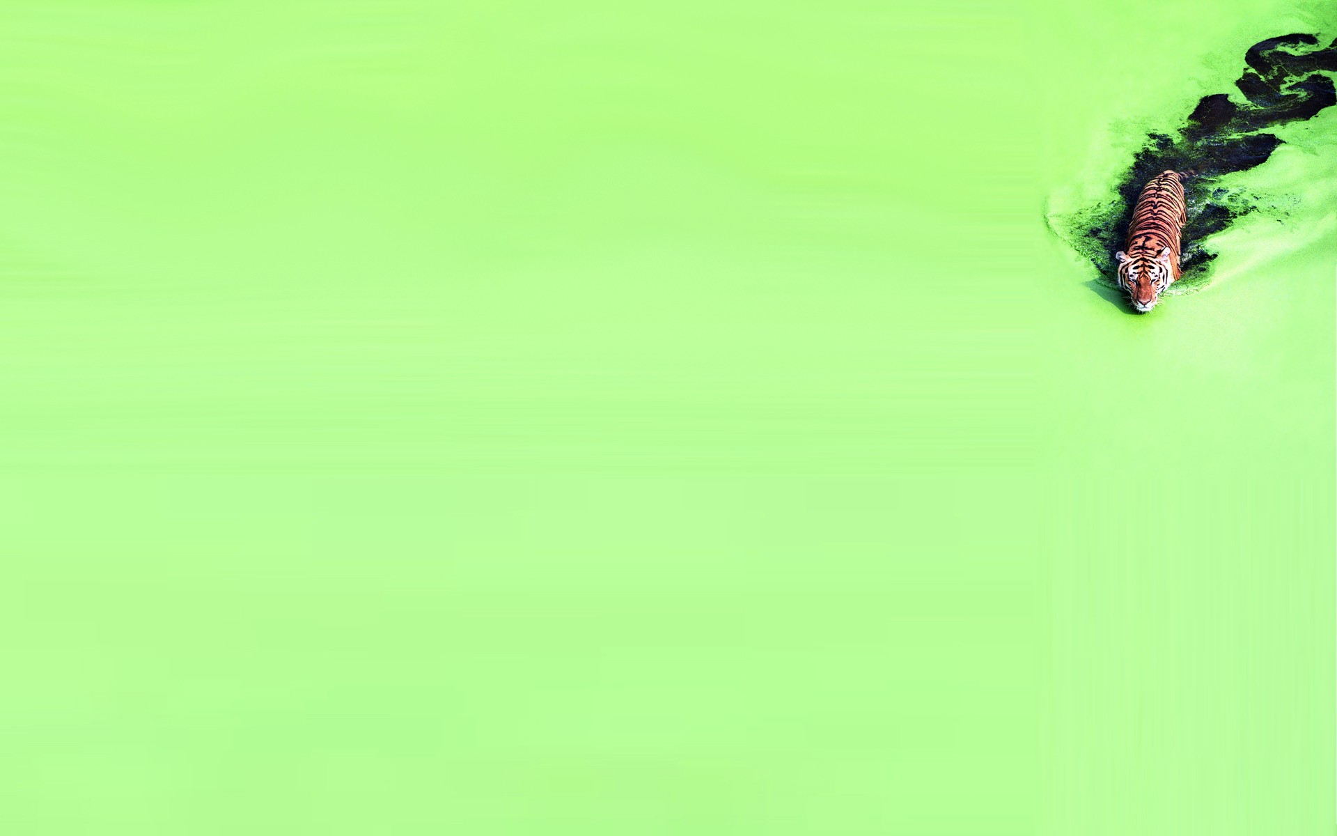 1920 x 1080 HD Wallpapers 1880